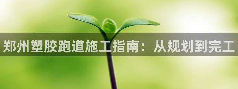 谈球吧平台正规吗可信吗安全吗：郑州塑胶跑道施工指南：从规划到完工