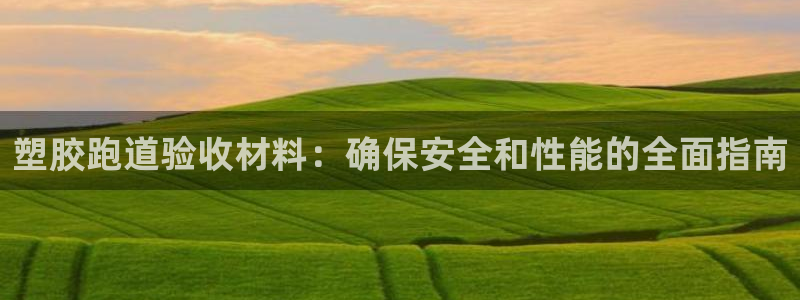 谈球吧是正规平台吗：塑胶跑道验收材料：确保安全和性能的全面指南