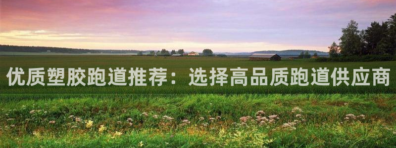 谈球吧的聊天软件下载：优质塑胶跑道推荐：选择高品质跑道供应商