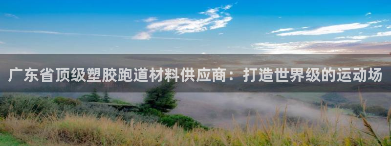 谈球吧是黑台子吗知乎：广东省顶级塑胶跑道材料供应商：打造世界级的运动场