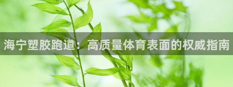 谈球吧算违法行为吗知乎：海宁塑胶跑道：高质量体育表面的权威指南