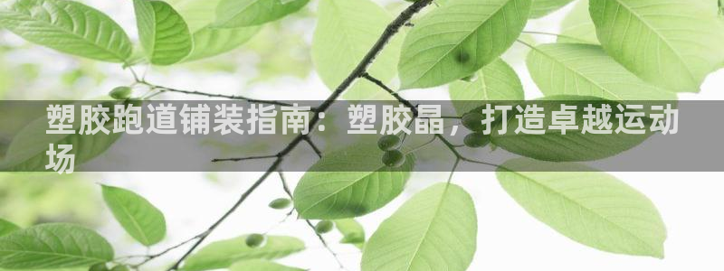 谈球吧咋样：塑胶跑道铺装指南：塑胶晶，打造卓越运动
场