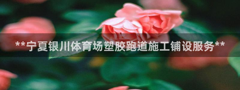 谈球吧体育app下载中心官方网站：**宁夏银川体育场塑胶跑道施工铺设服务**