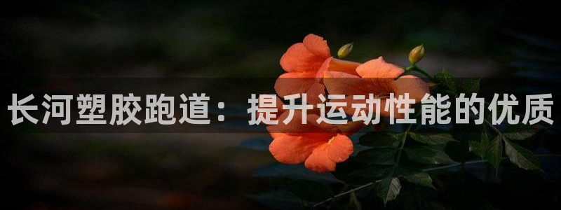 谈球吧红包码：长河塑胶跑道：提升运动性能的优质