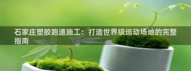 谈球吧出款：石家庄塑胶跑道施工：打造世界级运动场地的完整
指南