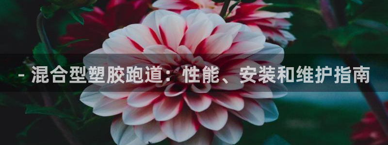 谈球吧app体育下载：- 混合型塑胶跑道：性能、安装和维护指南