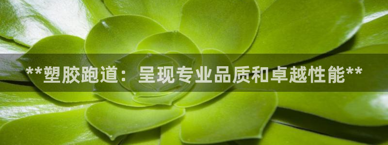 谈球吧官网app下载：**塑胶跑道：呈现专业品质和卓越性能**