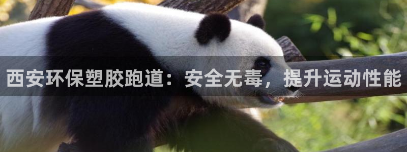 谈球吧娱乐app下载官网苹果版：西安环保塑胶跑道：安全无毒，提升运动性能