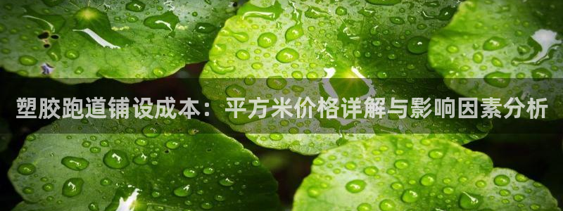 谈球吧登录：塑胶跑道铺设成本：平方米价格详解与影响因素分析
