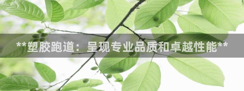 谈球吧app官网：**塑胶跑道：呈现专业品质和卓越性能**
