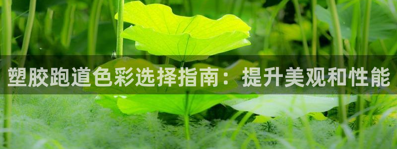 谈球吧首充金额截图：塑胶跑道色彩选择指南：提升美观和性能