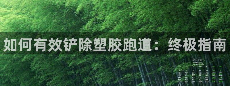 谈球吧体育app官网