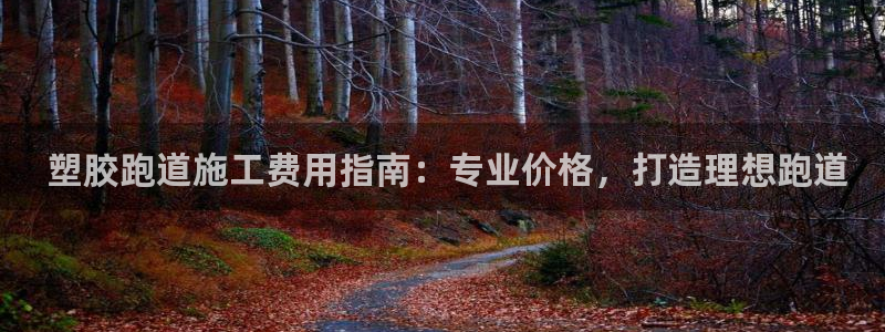 谈球吧app赛事分析： 塑胶跑道施工费用指南：专业价格，打造理想跑道