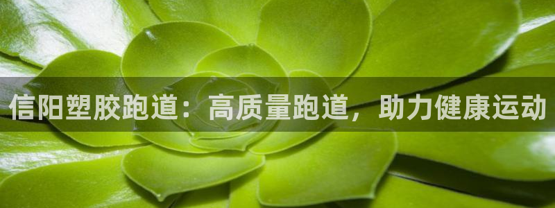 谈球吧平台app下载网址是多少：信阳塑胶跑道：高质量
