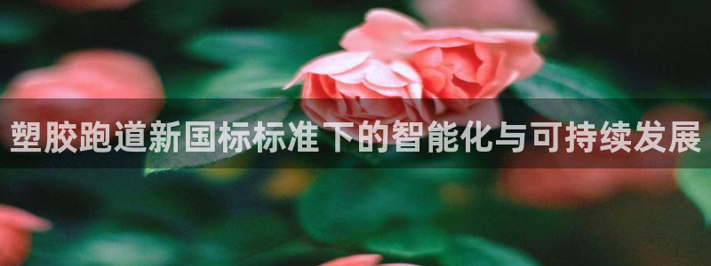 谈球吧的聊天软件下载：塑胶跑道新国标标准下的智能化与可持续发展