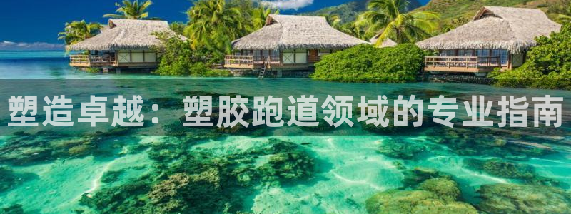 谈球吧能提现不：塑造卓越：塑胶跑道领域的专业指南