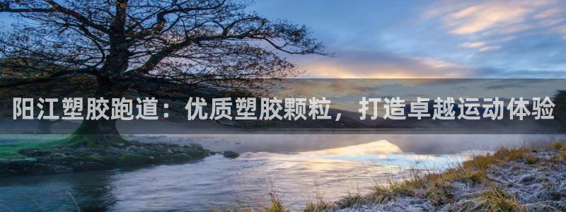 谈球吧论坛：阳江塑胶跑道：优质塑胶颗粒，打造卓越运动体验