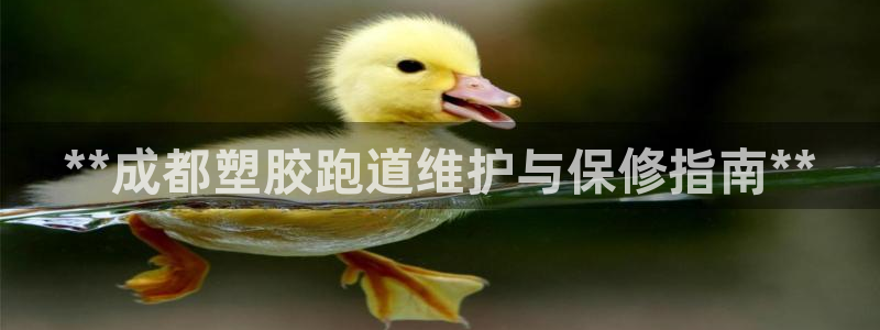 谈球吧体育首页综合登陆：**成都塑胶跑道维护与保修指南**