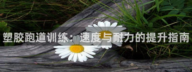 谈球吧的聊天软件下载：塑胶跑道训练：速度与耐力的提升指南