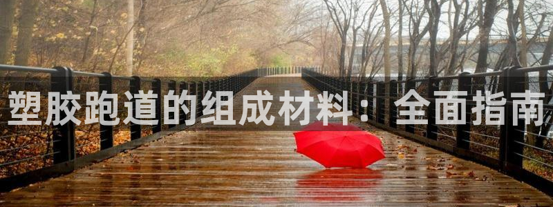 谈球吧与普通平台对比：塑胶跑道的组成材料：全面指南