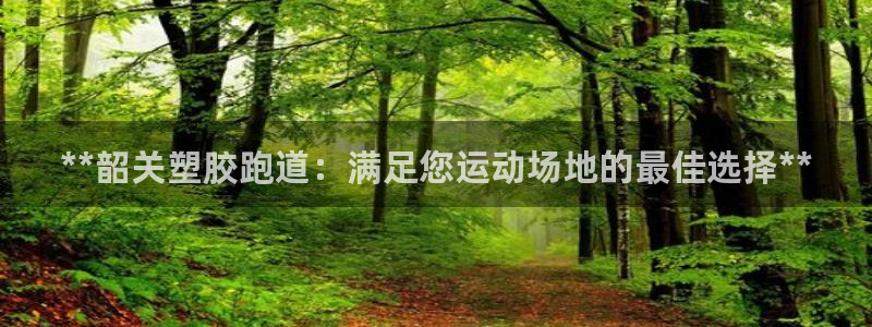 谈球吧官网在线入口手机版下载苹果：**韶关塑胶跑道：满足您运动场地的最佳选择**