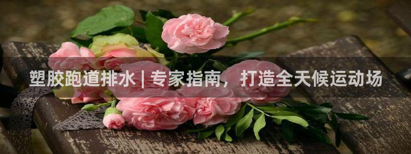 谈球吧体育官方入口：塑胶跑道排水 | 专家指南，打造