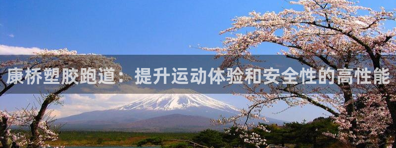 谈球吧不出款：康桥塑胶跑道：提升运动体验和安全性的高性能