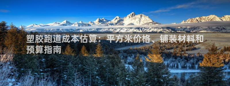 谈球吧红包激活码：塑胶跑道成本估算：平方米价格、铺装材料和
预算指南