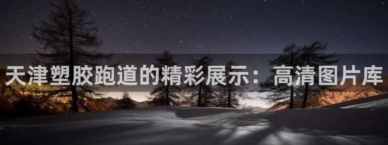 谈球吧登录地址：天津塑胶跑道的精彩展示：高清图片库