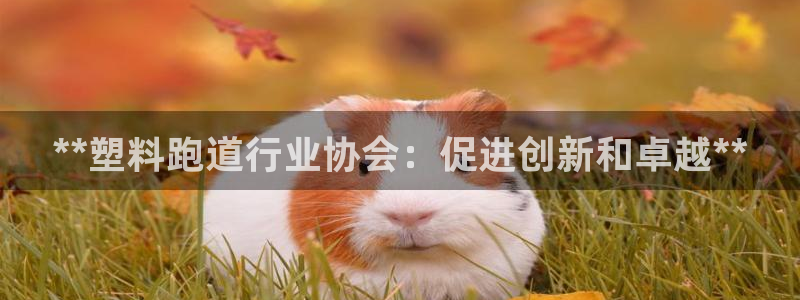 谈球吧在线登录免费观看：**塑料跑道行业协会：促进创新和卓越**