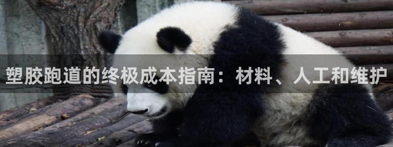 谈球吧娱乐app下载官网苹果手机：塑胶跑道的终极成本指南：材料、人工和维护