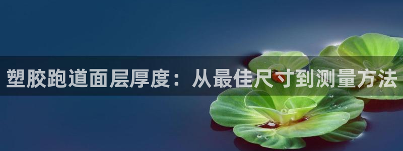 谈球吧平台app