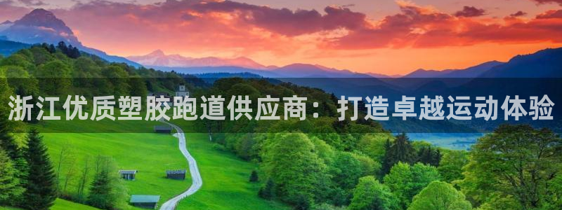 谈球吧黑款不：浙江优质塑胶跑道供应商：打造卓越运动体验
