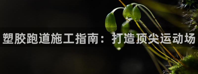 谈球吧体育app登陆不上：塑胶跑道施工指南：打造顶尖运动场
