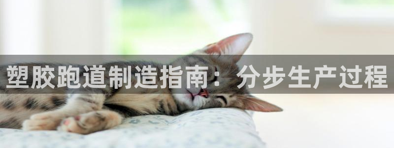 谈球吧体育app下载官网：塑胶跑道制造指南：分步生产过程