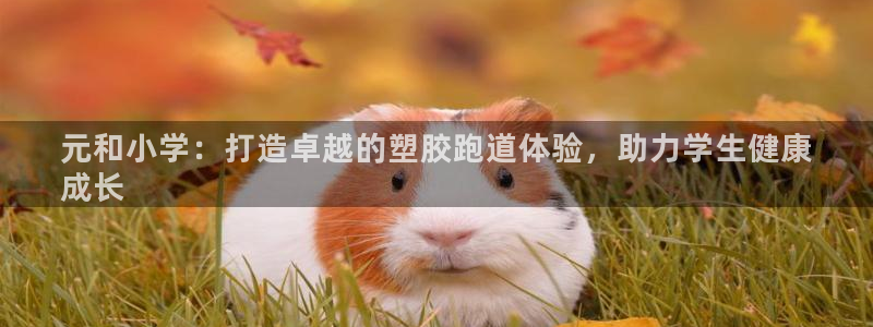 谈球吧电子：元和小学：打造卓越的塑胶跑道体验，助力学生健康
成长