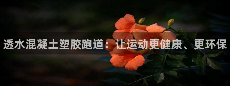 谈球吧最新APP下载：透水混凝土塑胶跑道：让运动更健康、更环保
