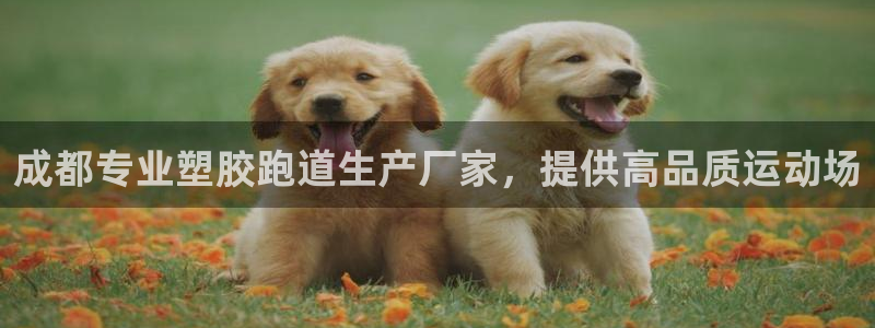 谈球吧是正规平台吗：成都专业塑胶跑道生产厂家，提供高品质运动场