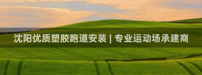 谈球吧官网在线入口手机版下载安装：沈阳优质塑胶跑道安装 | 专业运动场承建商