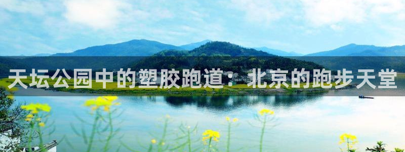 谈球吧与普通平台对比：天坛公园中的塑胶跑道：北京的跑步天堂