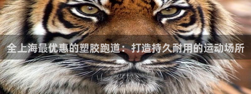 谈球吧网址：全上海最优惠的塑胶跑道：打造持久耐用的运动场所