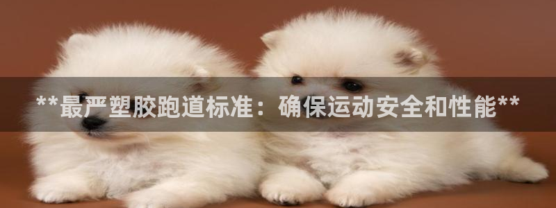 谈球吧是正规平台吗安全吗：**最严塑胶跑道标准：确保运动安全和性能**