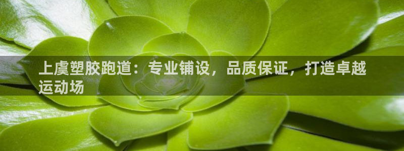 谈球吧平台黑吗?：上虞塑胶跑道：专业铺设，品质保证，