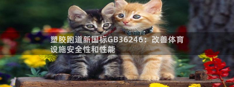 谈球吧体育app登陆入口：塑胶跑道新国标GB36246：改善体育
设施安全性和性能