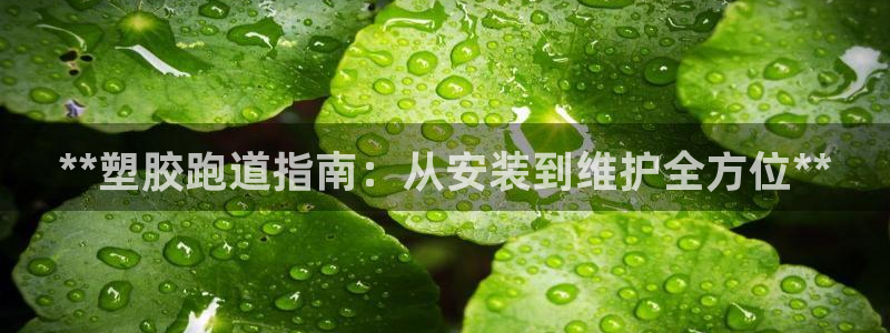 谈球吧登录地址：**塑胶跑道指南：从安装到维护全方位**