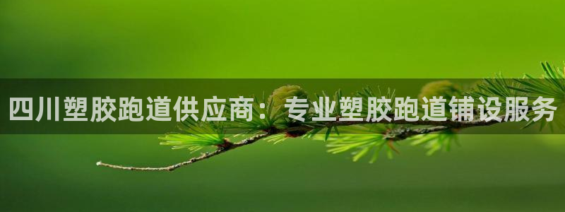 谈球吧的聊天软件是什么：四川塑胶跑道供应商：专业塑胶跑道铺设服务