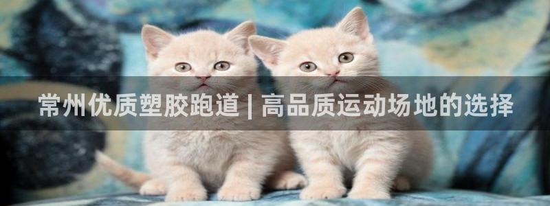 谈球吧官网登录：常州优质塑胶跑道 | 高品质运动场地的选择