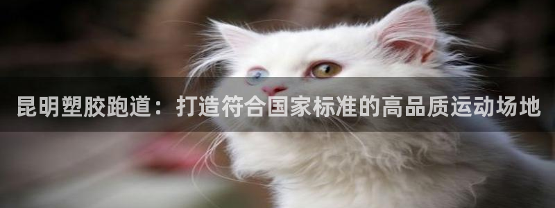 谈球吧的聊天软件叫什么名字：昆明塑胶跑道：打造符合国家标准的高品质运动场地