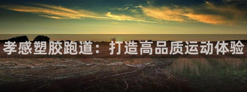 谈球吧怎么样：孝感塑胶跑道：打造高品质运动体验