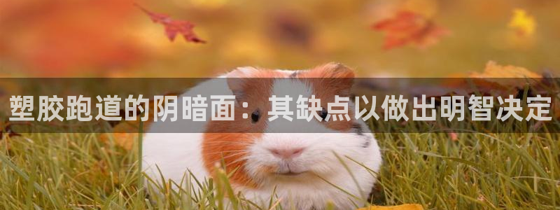 谈球吧体育app下载中心在哪：塑胶跑道的阴暗面：其缺点以做出明智决定